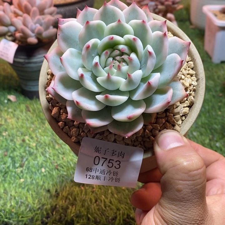 0753啊啊啊啊啊啊啊啊啊啊