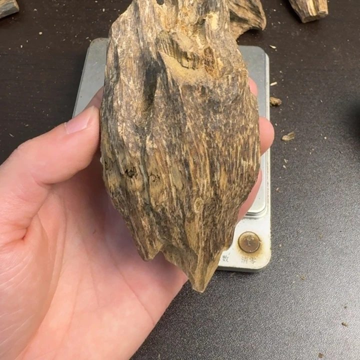 沉香碎屑沉香海南野料虫漏