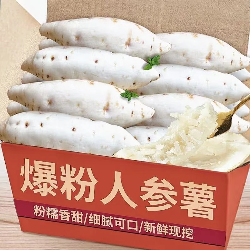 牛奶人参薯白皮白肉新鲜红薯香甜白心板栗薯现挖地瓜山芋超粉番薯