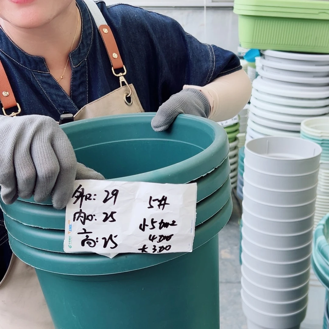 四季盆5#墨绿色6个无托