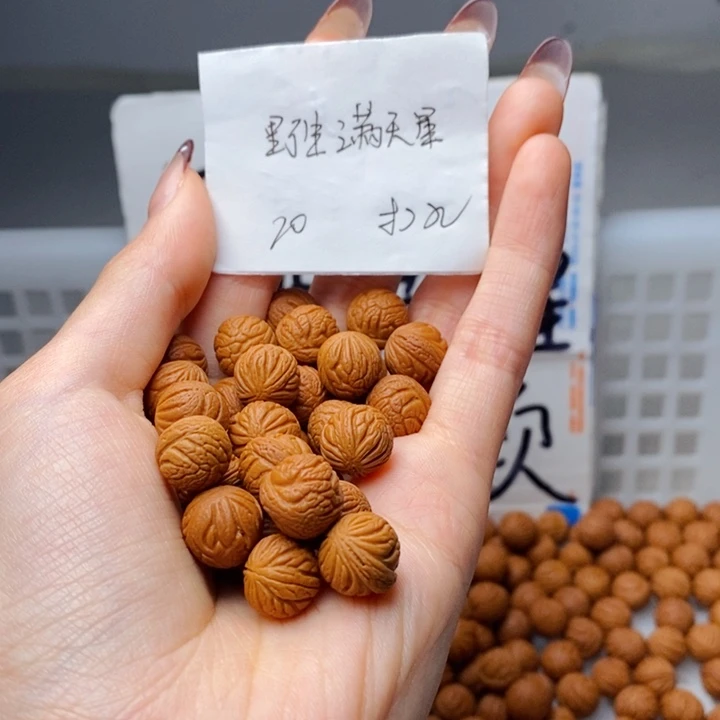 手串桃核11mm左右野生满天星20颗（打孔）