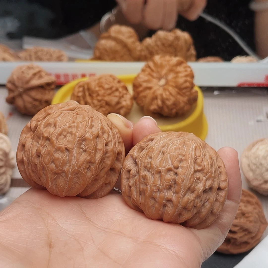 精*43铁锤子们冲了打