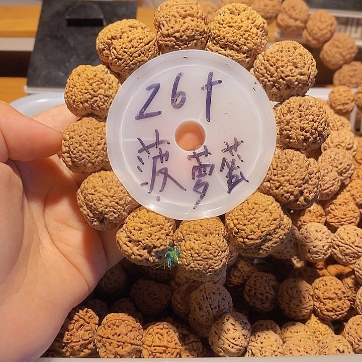步***，金刚菩提手串这样