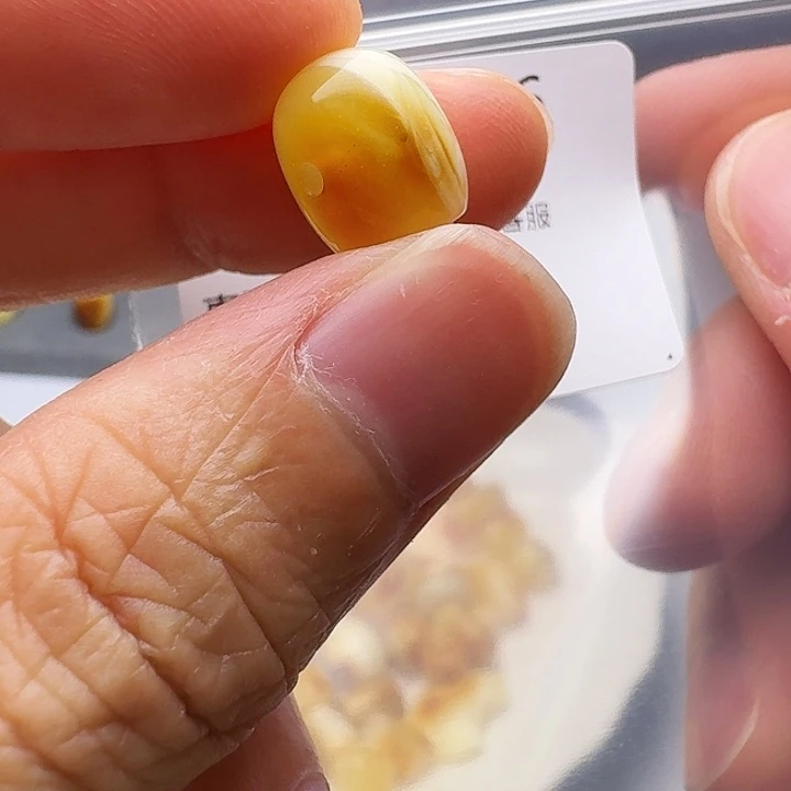 裸石琥珀未镶嵌琥珀