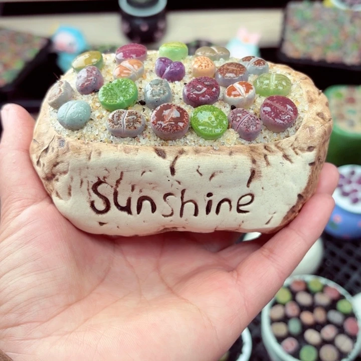 528零下地区记得拍保温箱