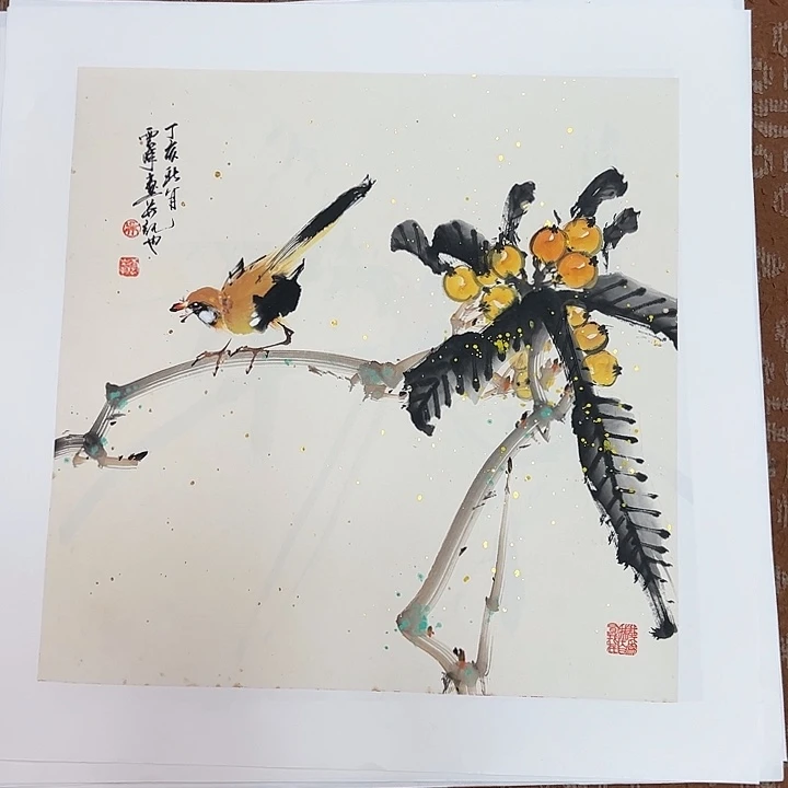 国画新号开播 全场福利