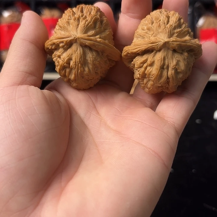 大叶紫檀（黑酸枝木类）