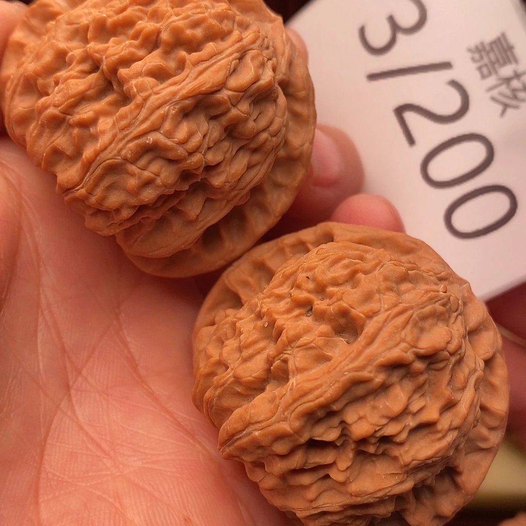 把件文玩核桃44白狮子