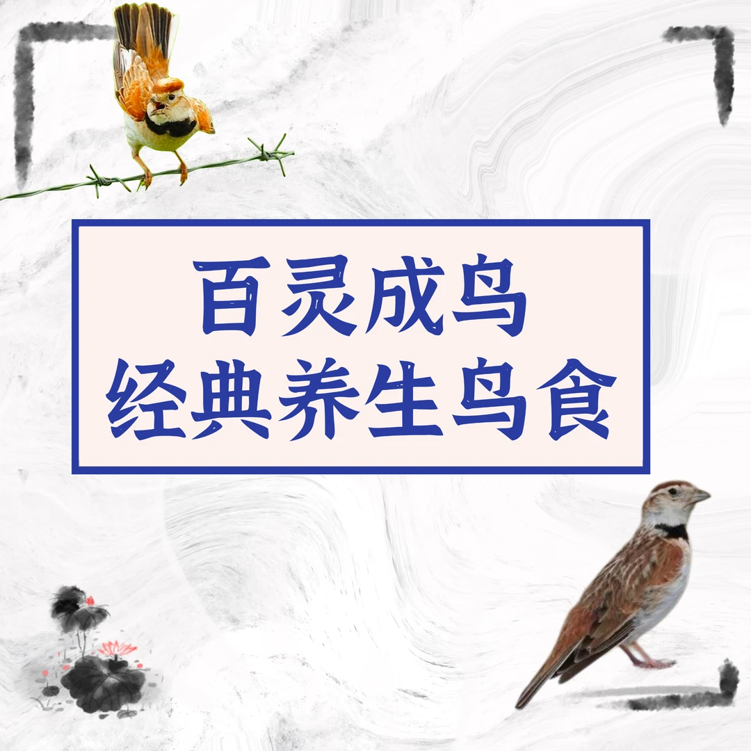 百灵成鸟经典养生鸟食（宠物零食）