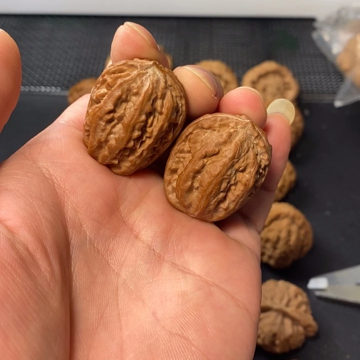 把件文玩核桃45778764568