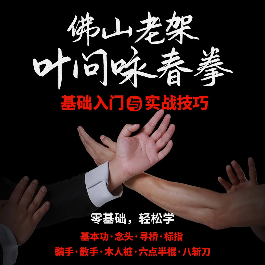叶问咏春拳 自学教程零基础入门与实战技巧格斗搏击武术功夫