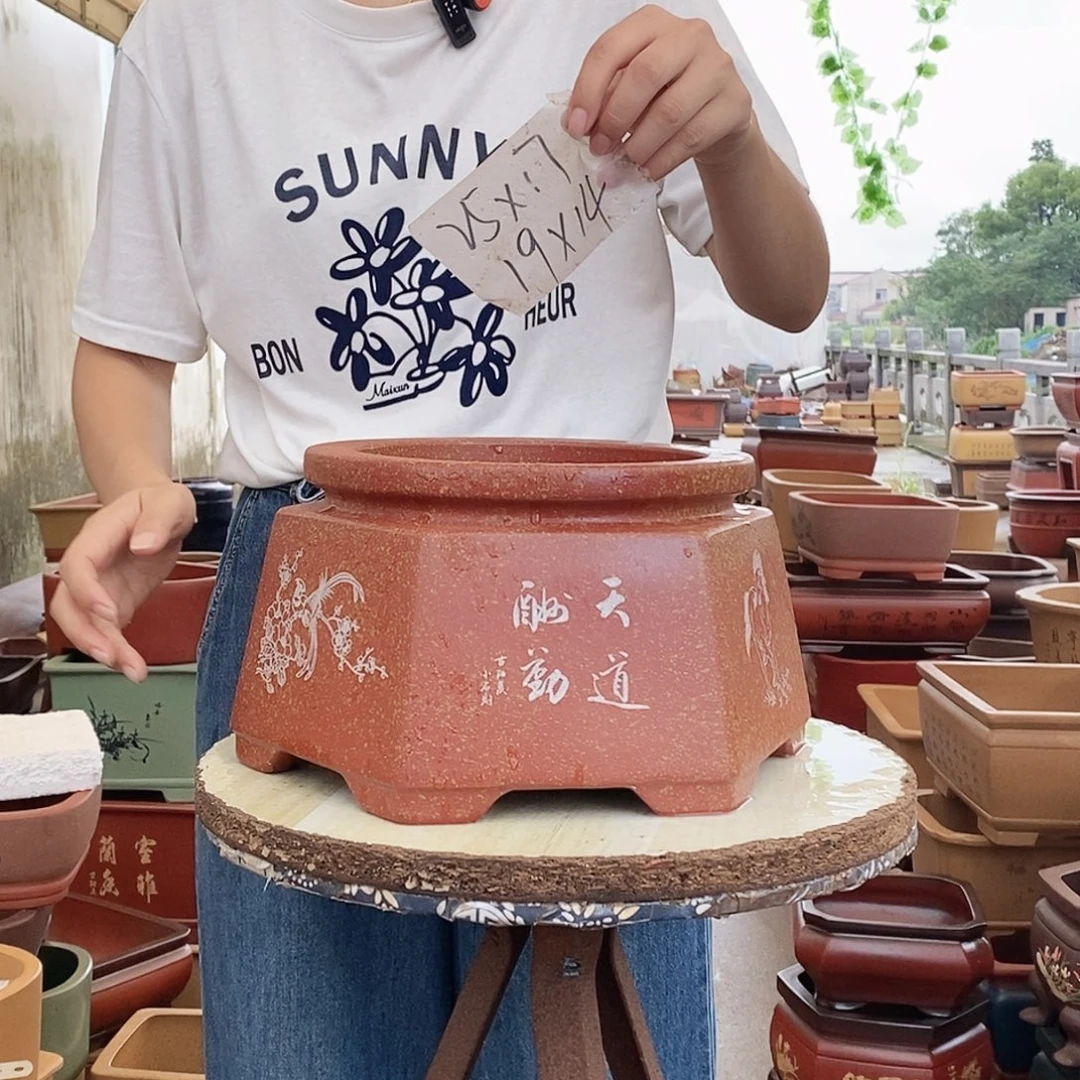 紫砂花盆紫砂花盆