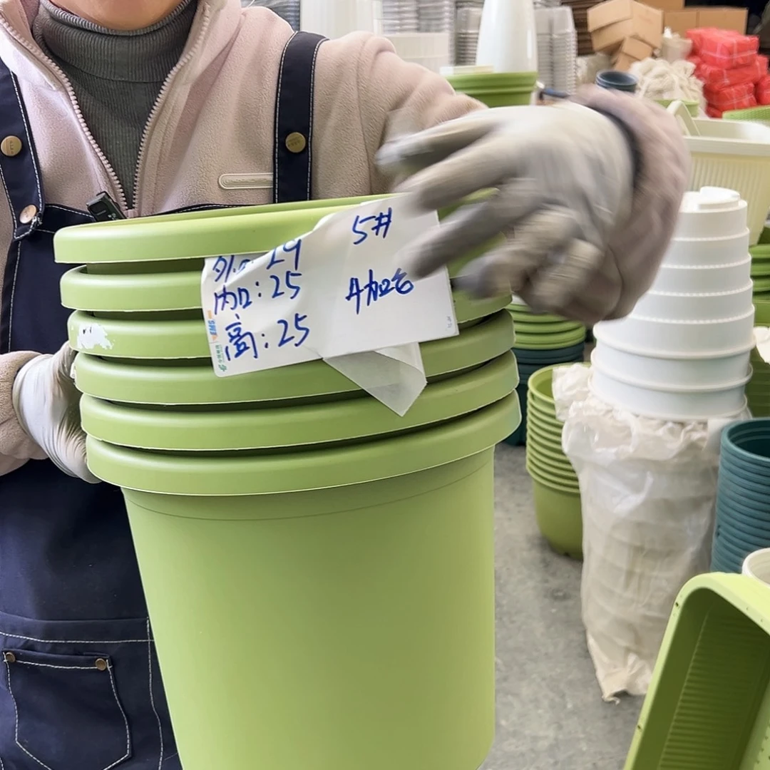 四季盆5#果绿色6个无托