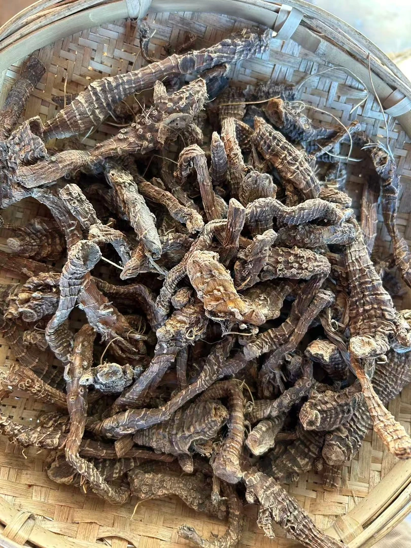 【陈博士高山现收】云南高山高原啊-勃-渗