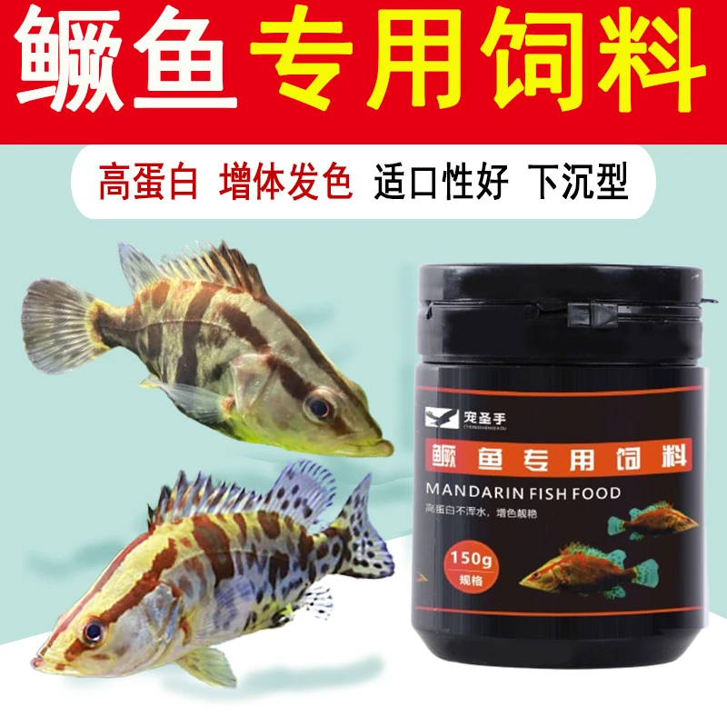 鳜鱼饲料专用鱼食红纹鳜黄金鳜观赏鳜肉食鱼幼鱼鱼苗高蛋白开口粮