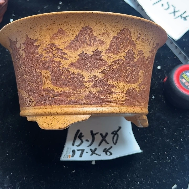 wwwww鹅鹅鹅鹅鹅鹅