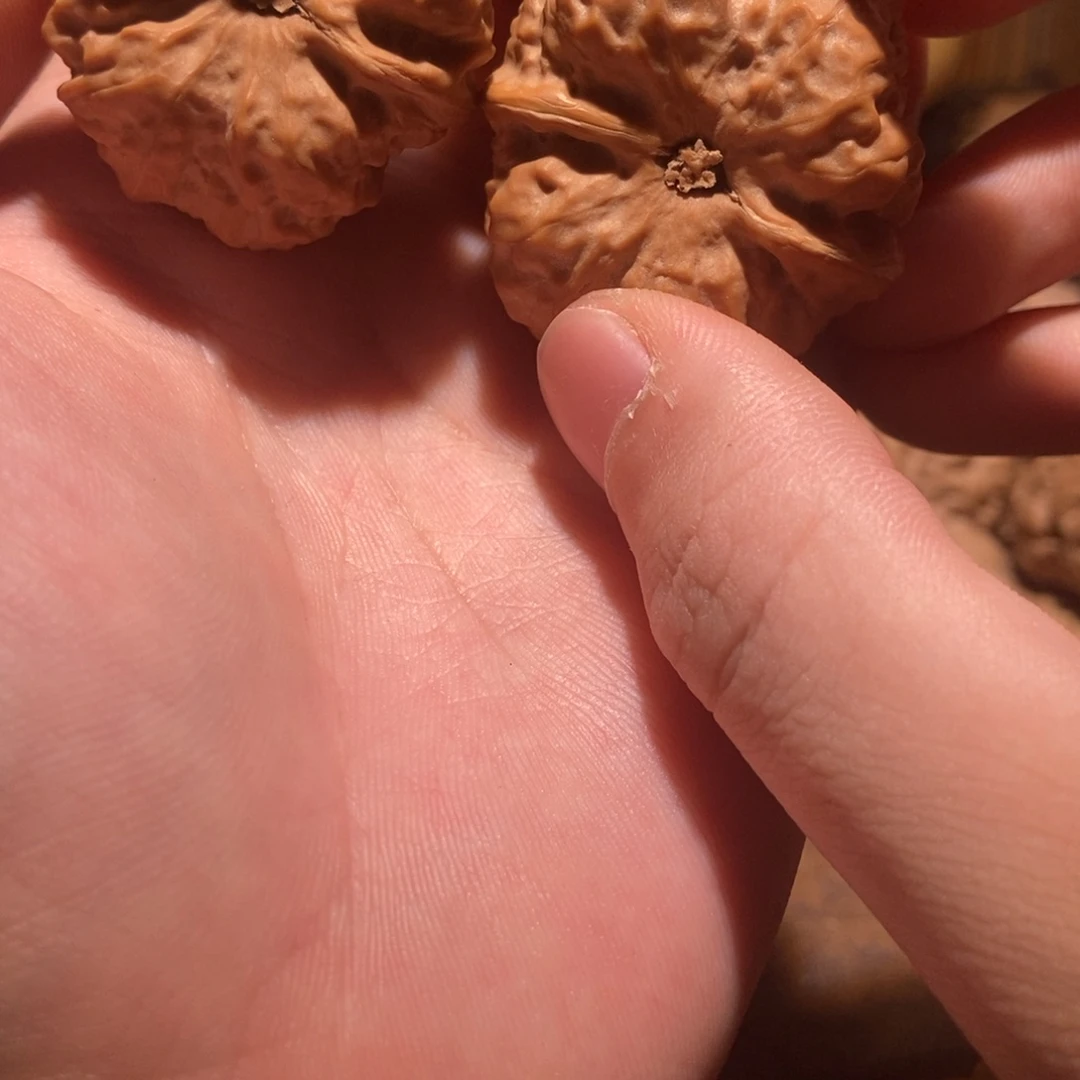 喜***文玩核桃吊坠蛤蟆头D12