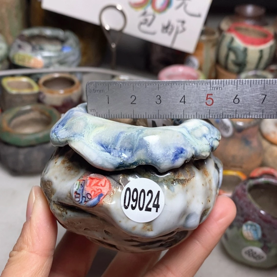 花盆拍1送一个小礼物