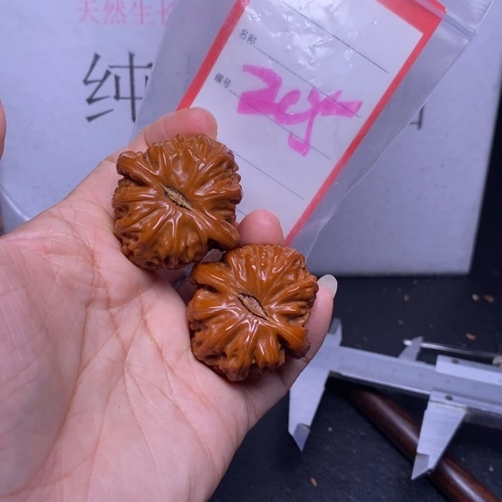 文玩核桃把件205，36.5白狮子
