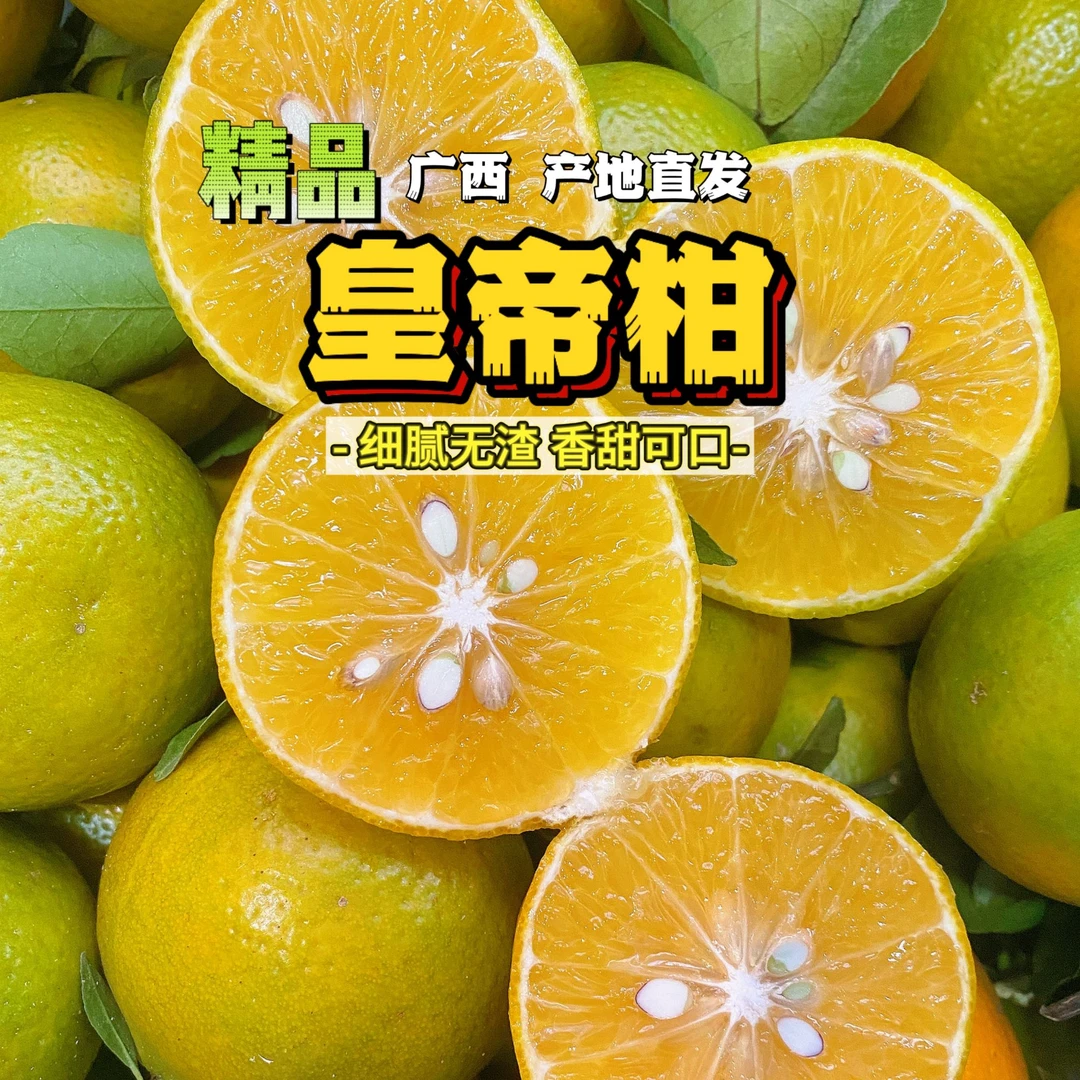 【萝卜大叔】广西皇帝柑 当季新鲜水果 多汁清甜产地直发 普通快递