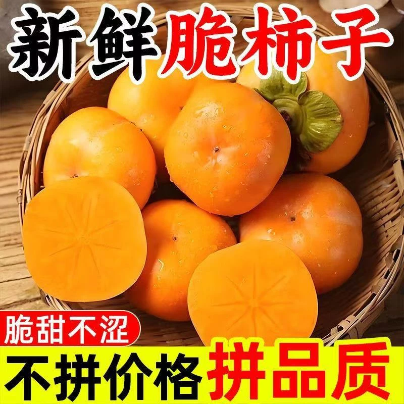 1正宗巧克力脆柿子新鲜水果当季甜脆硬柿子