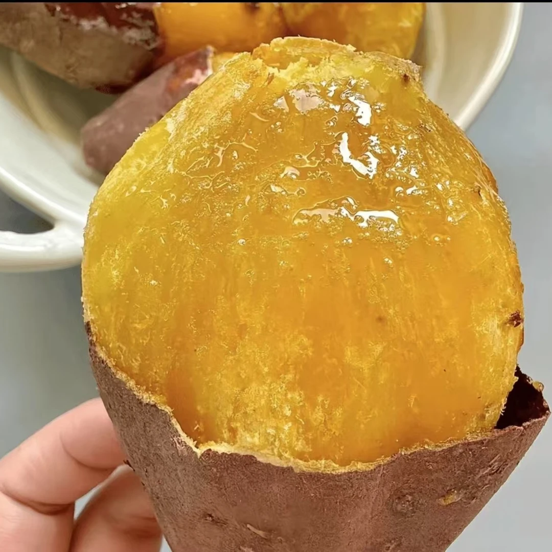 【平台推荐】火山蜜薯火山蜜薯吉林省