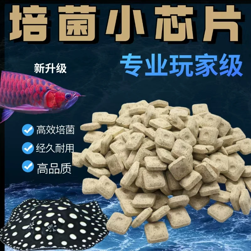 【专业玩家级】鱼缸过滤材料猛砂料小芯干培菌滤材高端