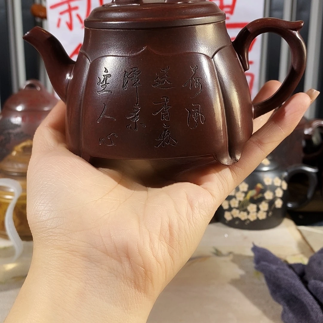 盖碗紫砂哈哈哈哈哈还来啊哈哈