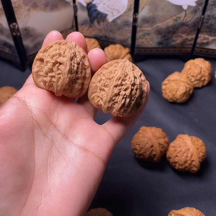 核桃39尺白狮子。