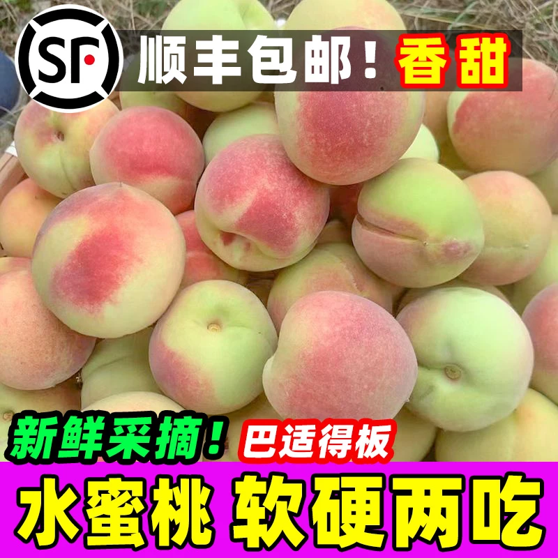 (吕支书推荐)顺丰包邮四川高山脆桃子水蜜桃高山毛桃新鲜水果