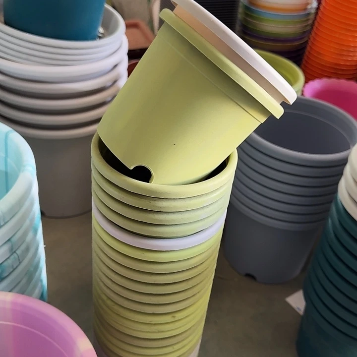 口径14果绿20个无托微瑕