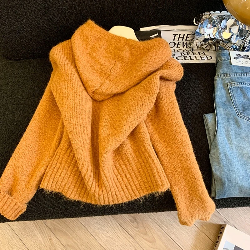 韩版2025秋冬新款爆款连帽针织开衫毛衣女外套巨好看长袖短上衣