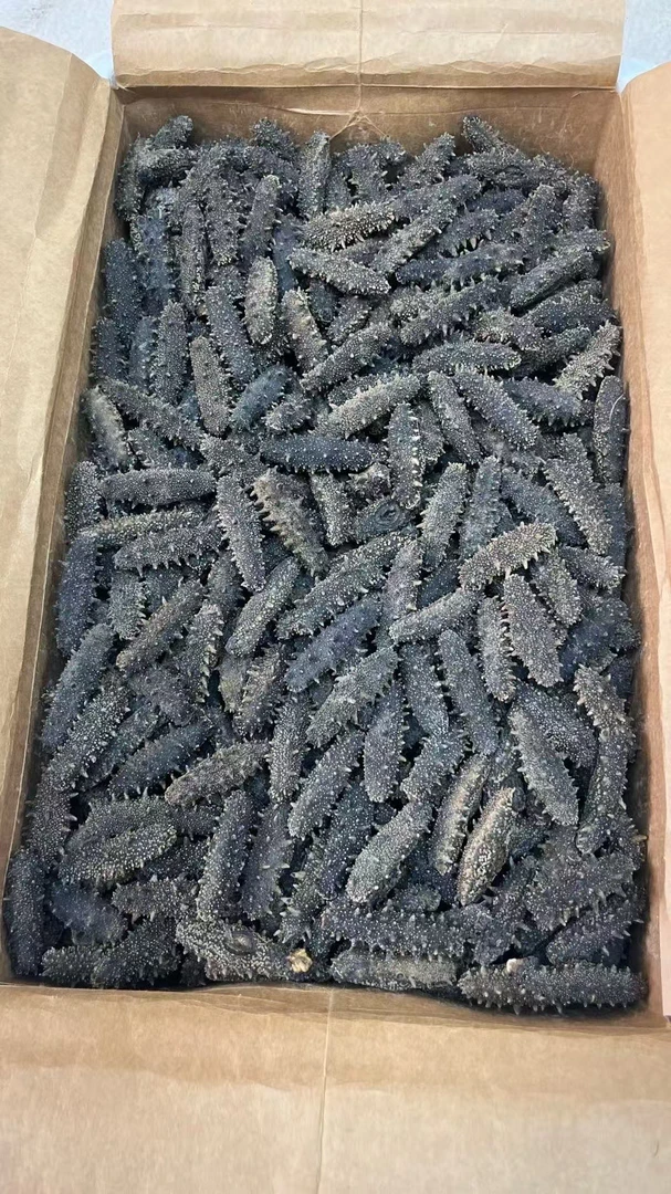 大连海参40-45头口感Q弹深海辽参