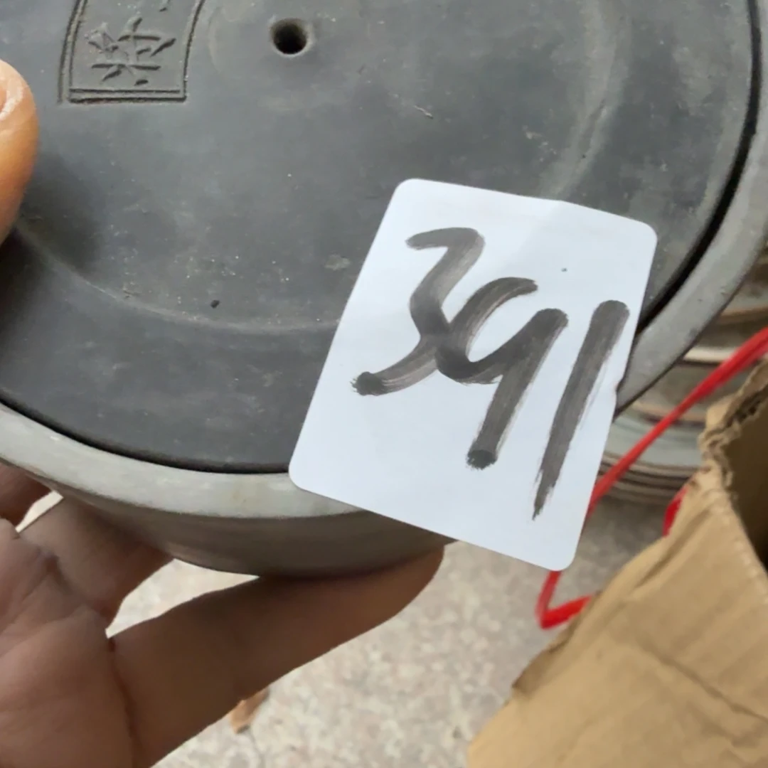 *****杂色豆（科檀/科特迪瓦檀木）