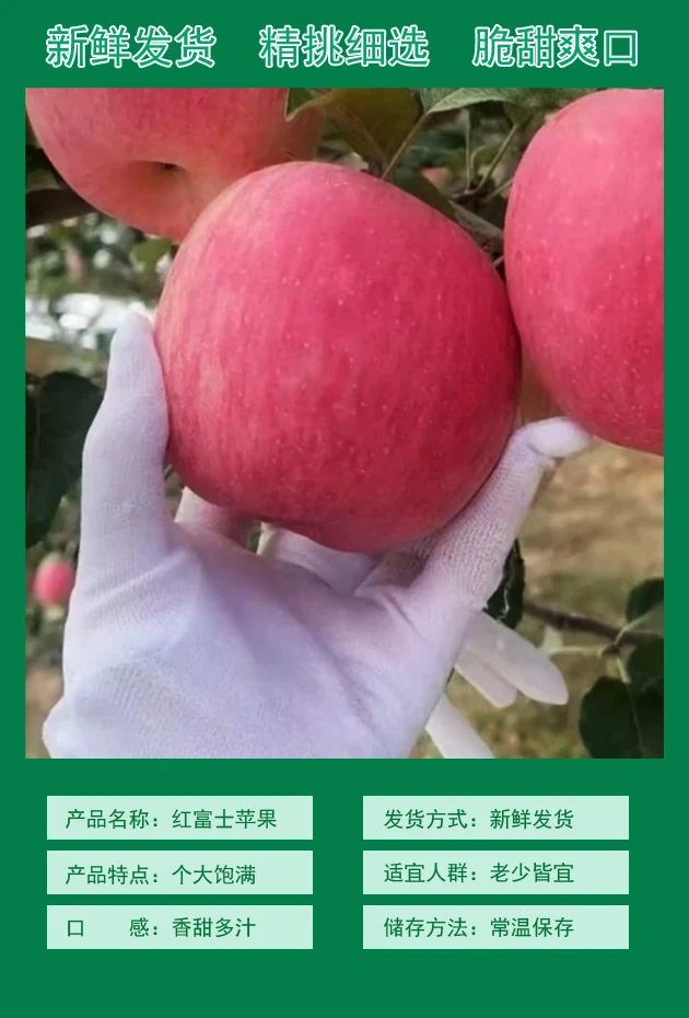 宁夏中卫沙坡头红富士苹果新鲜脆甜多汁当季应季水果产地直发包邮