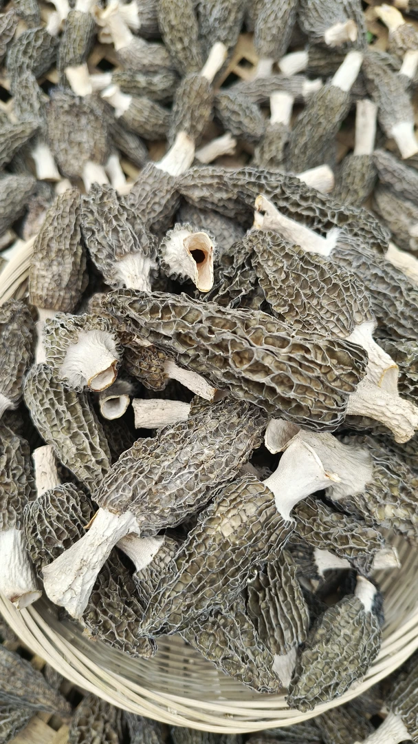 苍溪羊肚菌头茬干货、广元米豆腐