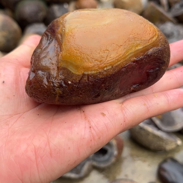 未镶嵌玛瑙/玉髓珠宝奇石