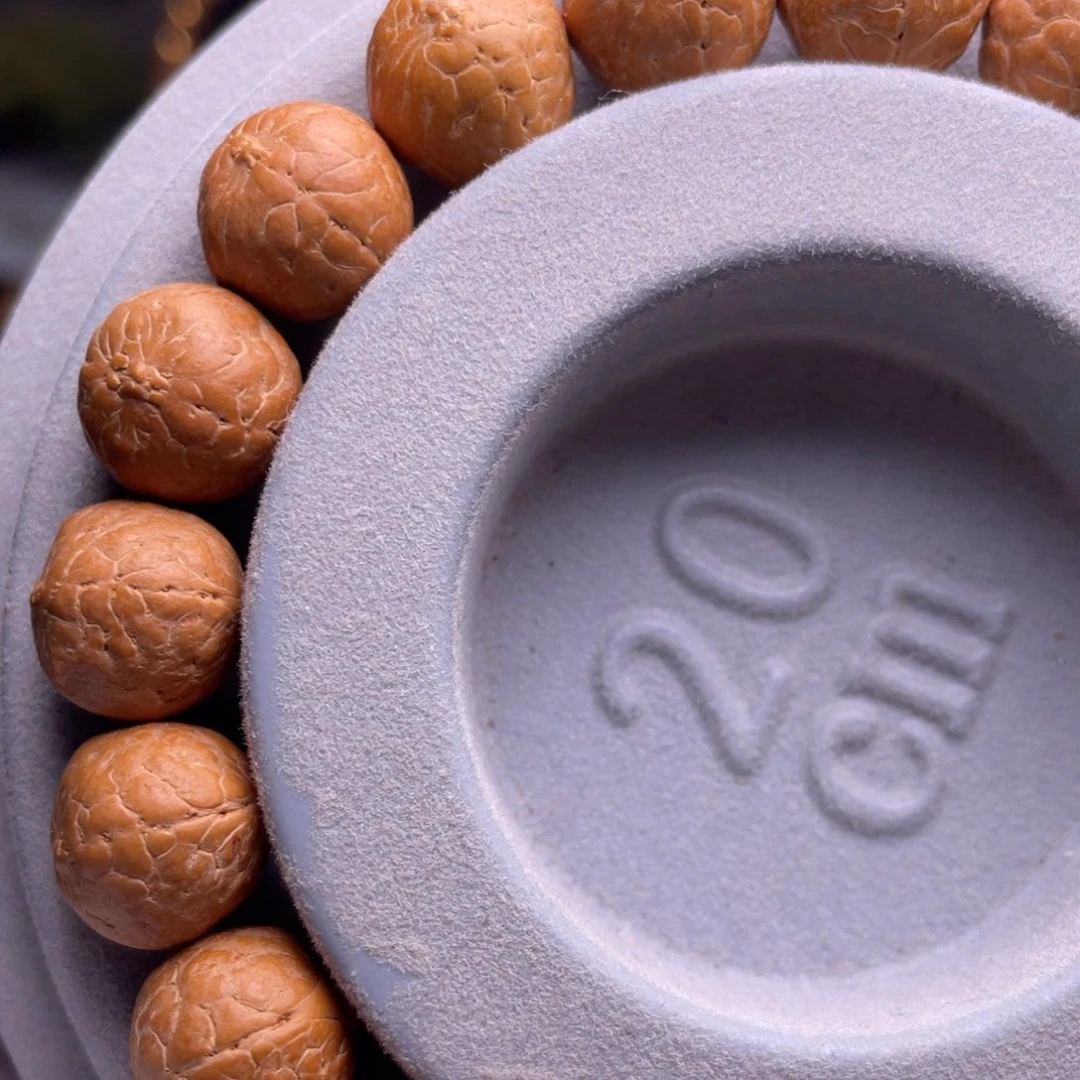 凤眼菩提吊坠菩提304