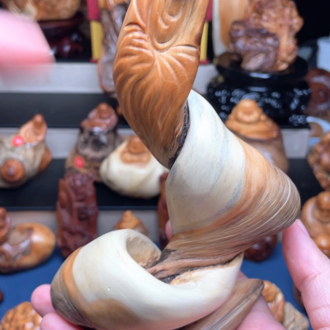 小***龍柏木（崖柏）6455555878