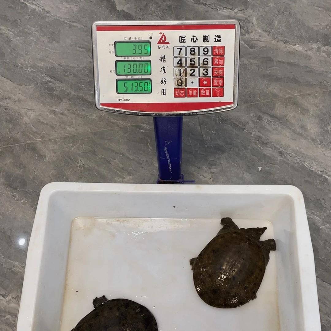 中国大陆5676467567