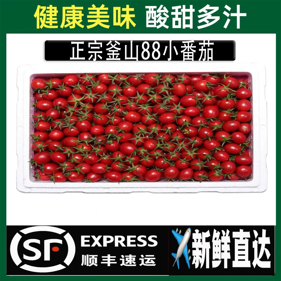 【顺丰】釜山88千禧小番茄新鲜现摘圣女果生吃应季水果小西红柿子