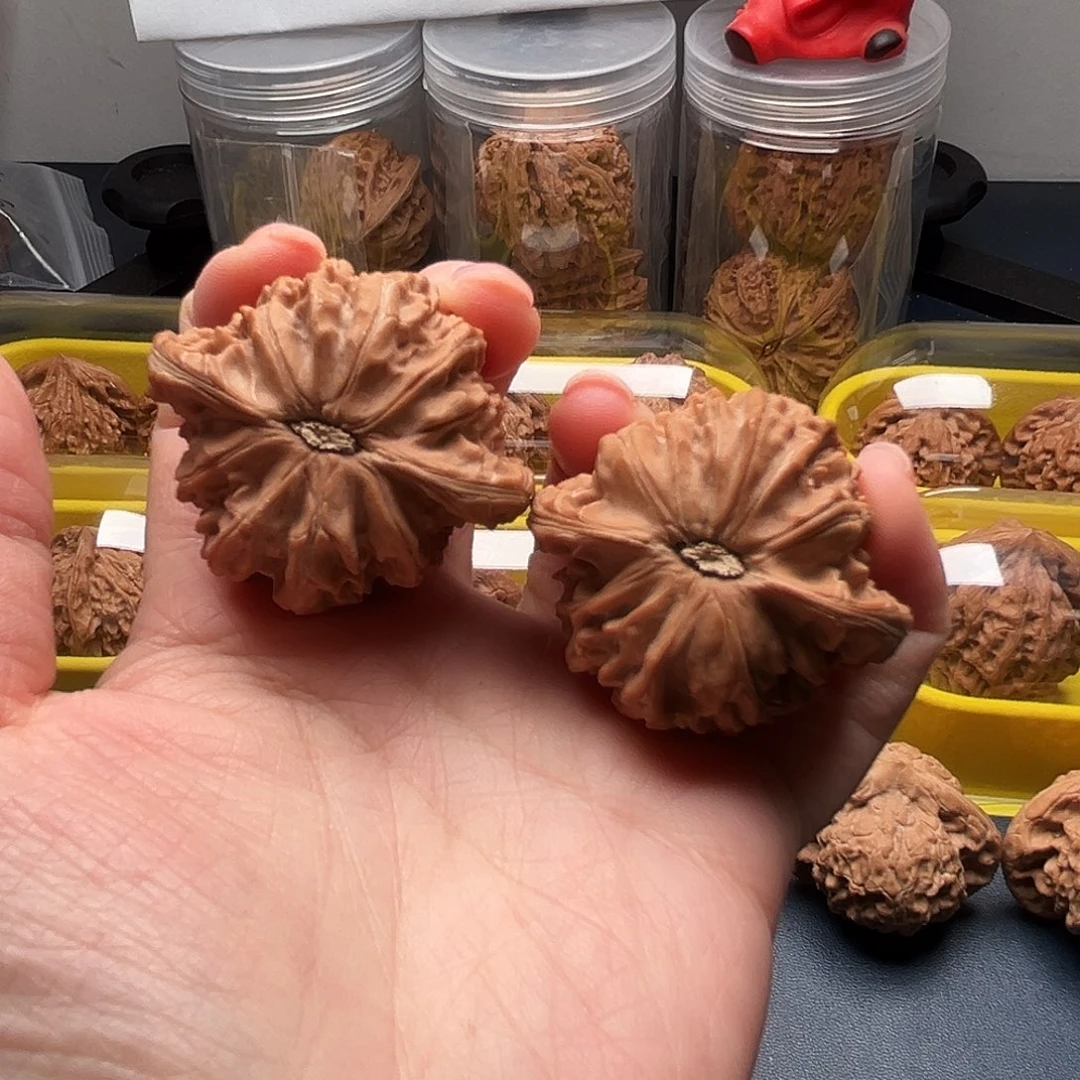 那****核桃43尺寸山地磨盘
