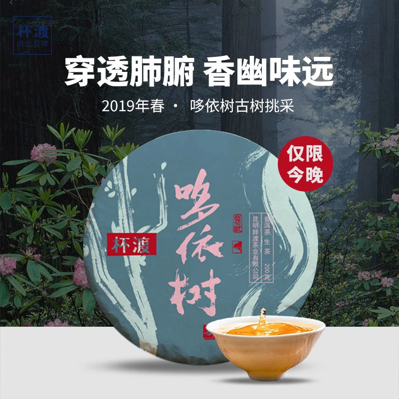 杯渡古茶【易武新高峰！】2019春易武哆依树古树纯料普洱生茶200g