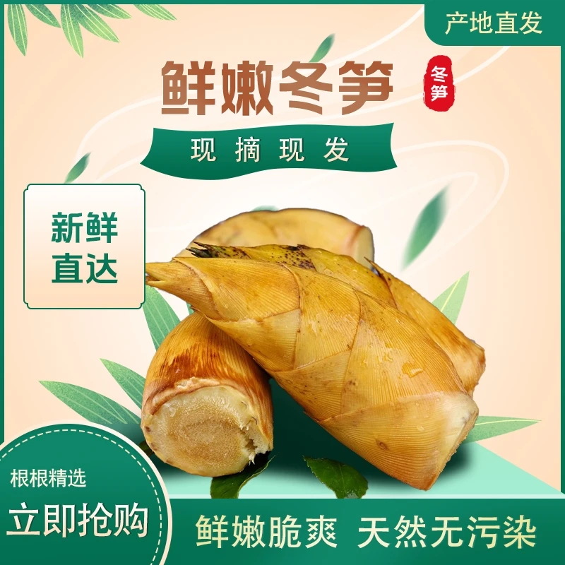 鲜嫩冬笋，新鲜直达