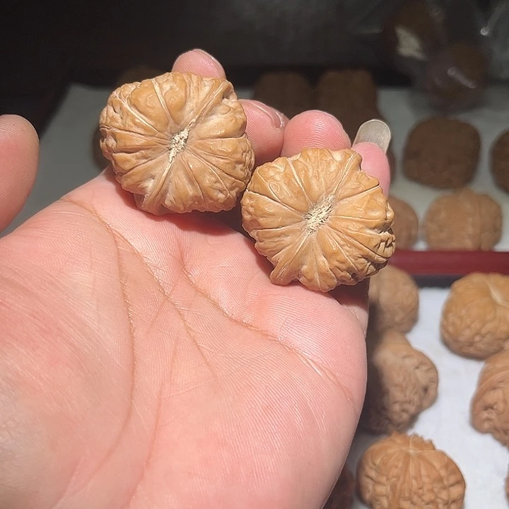 木40➕南瓜敦。