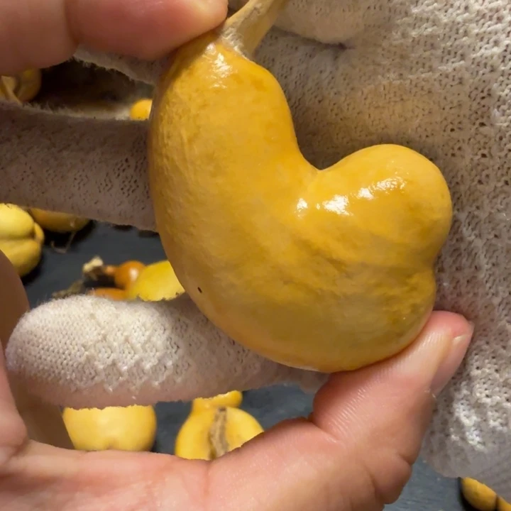 瑞***禄霉点6666666666666