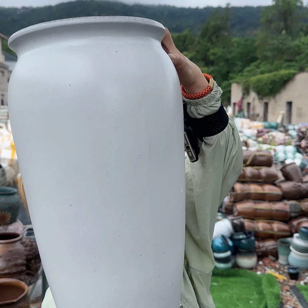 紫砂花盆王嫂花盆直播0621-龙大白高40口20