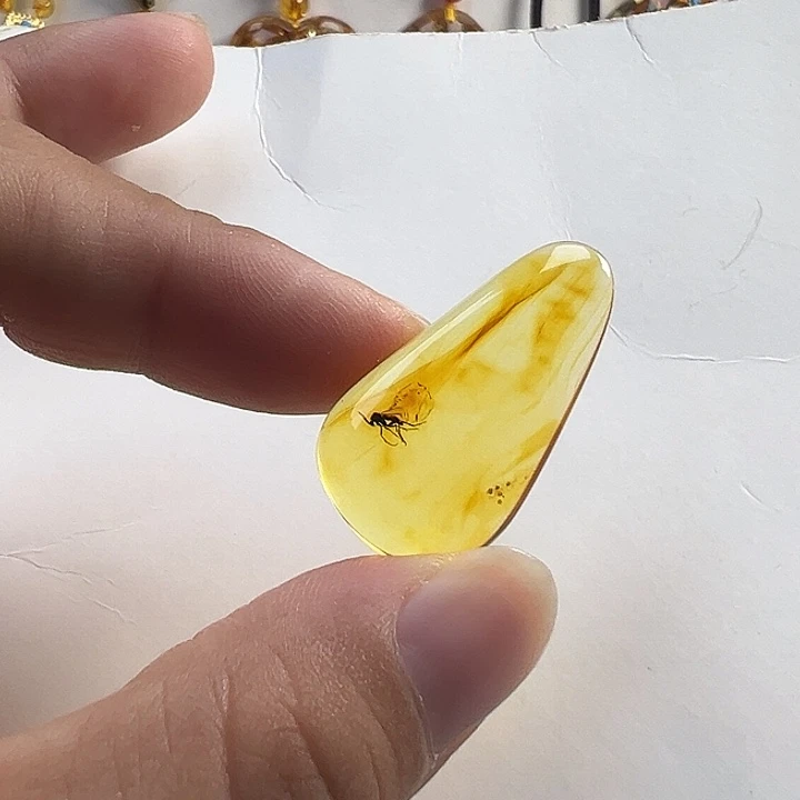虫珀未镶嵌颈饰虫珀