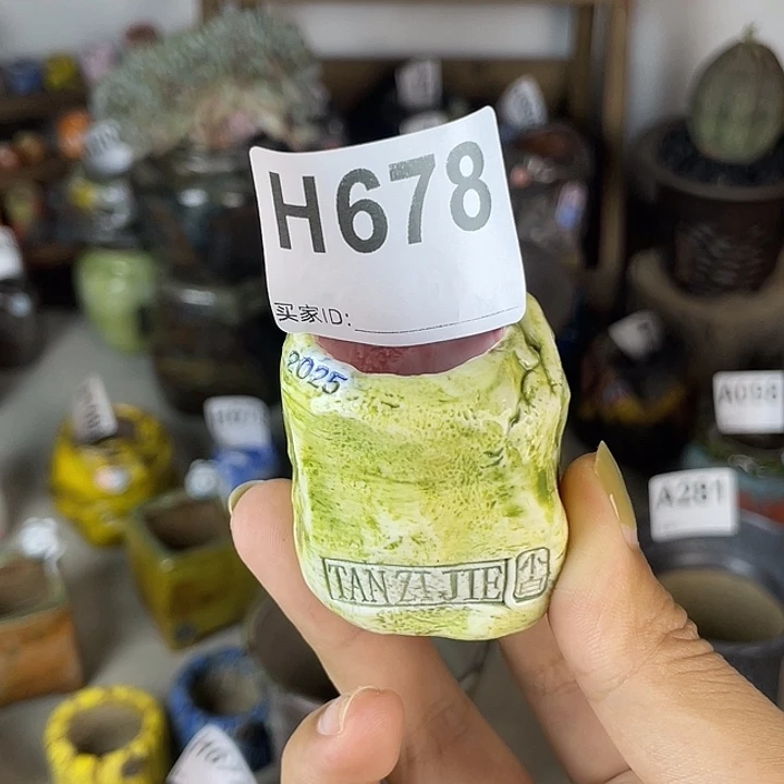 小白孤品 内口2.5 百搭耐看