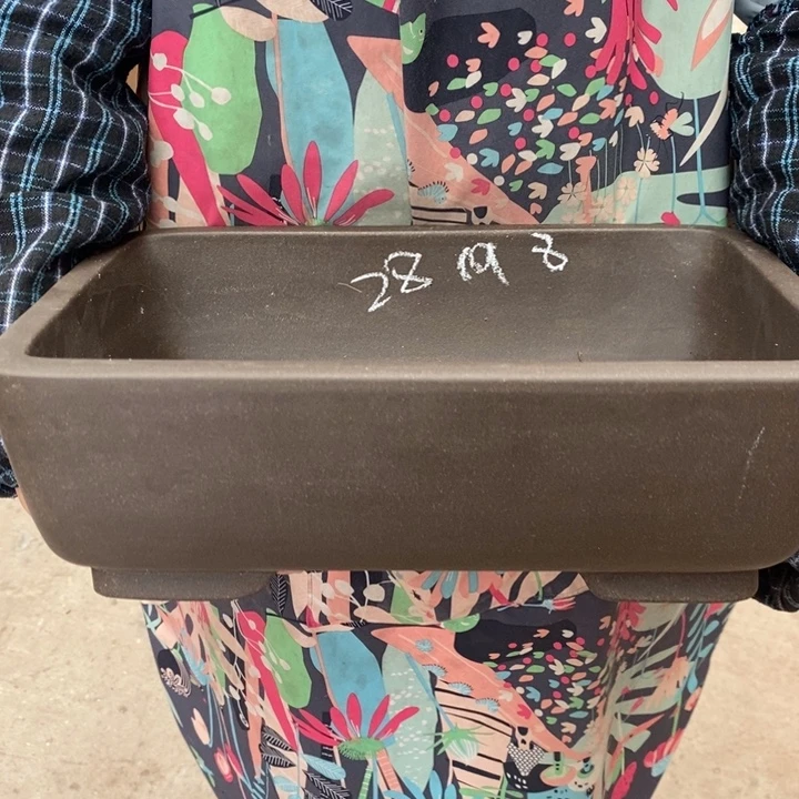 紫砂花盆只顾自己看自己